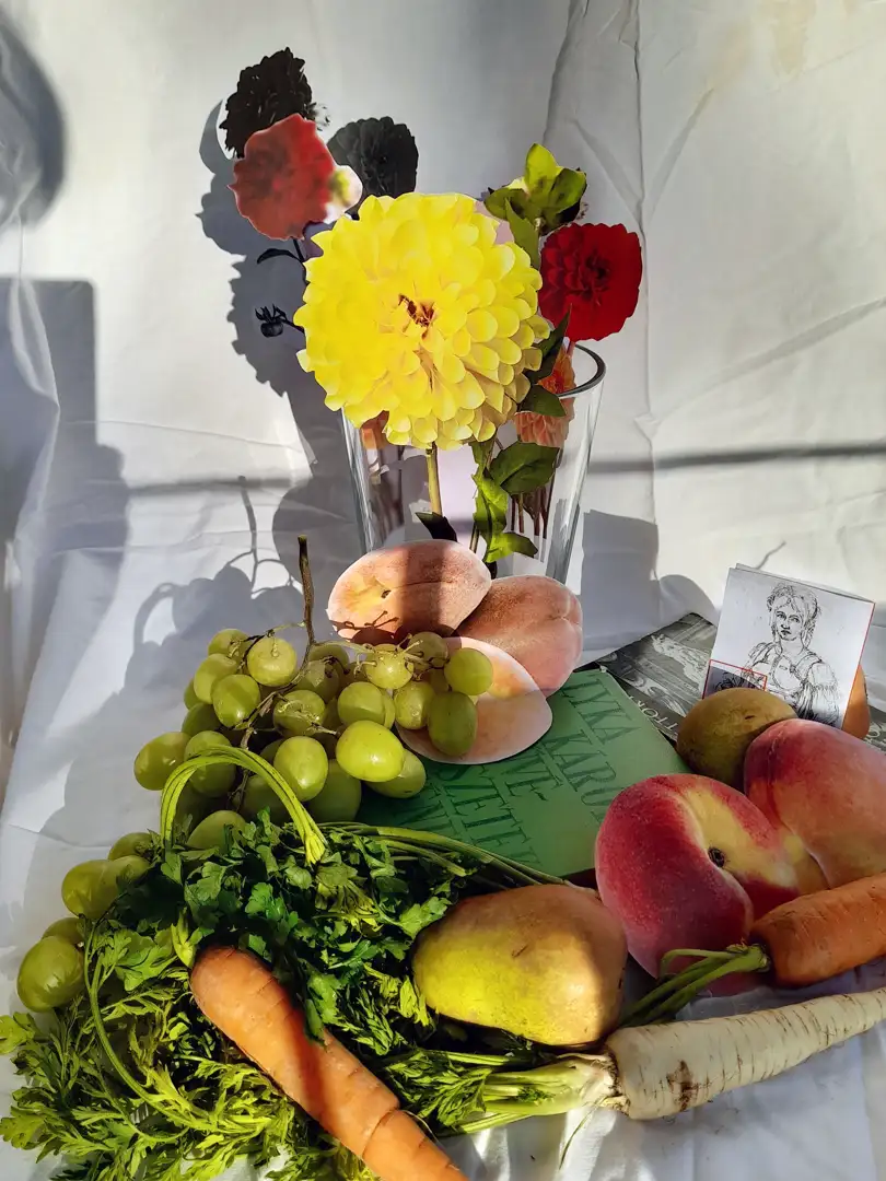 Still Life photograph